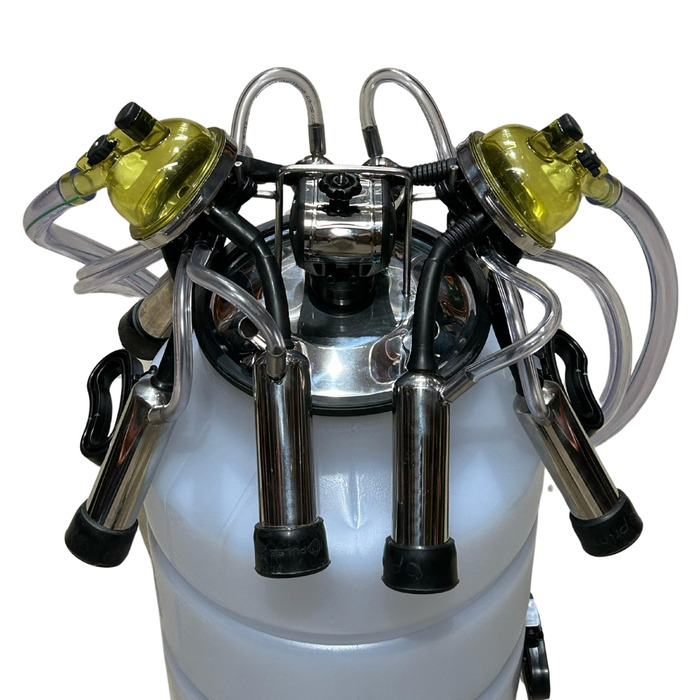 Ordenhadeira Prime Balde ao Pé BV 600 litros - Motor 2 cv